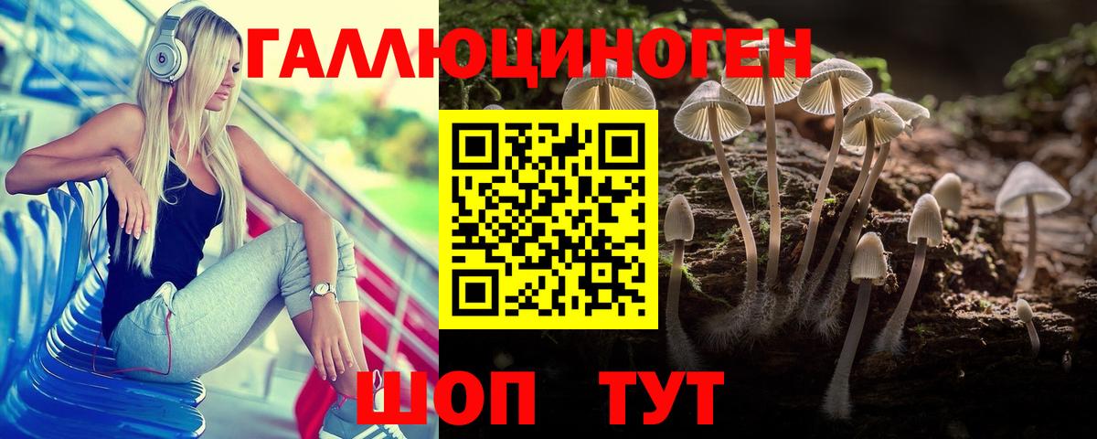 Галлюциногенные грибы мухоморы  Вход с VPN  Зеленогорск 